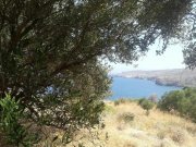 Plaka bei Chania Zum Verkauf auf Kreta: Ausgezeichnetes Grundstück am Meer im Dorf Plaka Grundstück kaufen